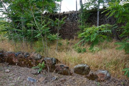 [Picture of walls behind garage]